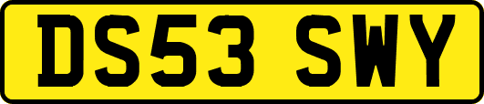 DS53SWY