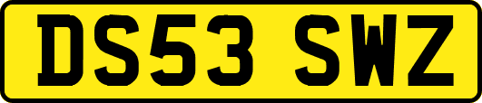 DS53SWZ