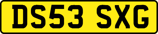 DS53SXG