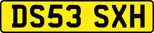 DS53SXH