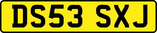 DS53SXJ