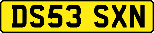 DS53SXN