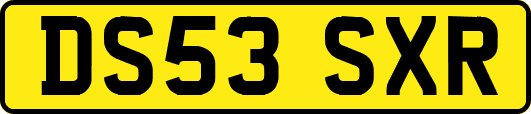 DS53SXR