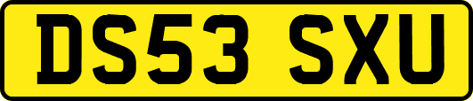 DS53SXU