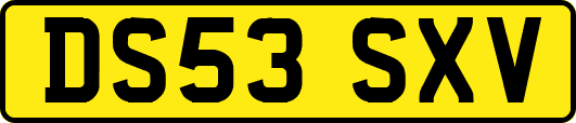DS53SXV