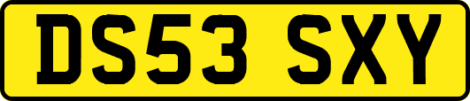 DS53SXY