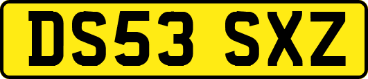 DS53SXZ