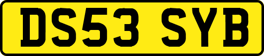 DS53SYB