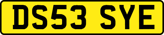 DS53SYE