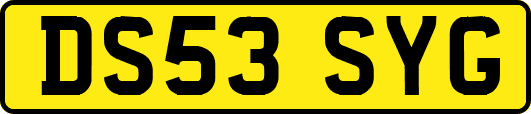 DS53SYG