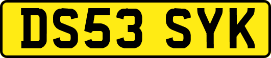 DS53SYK