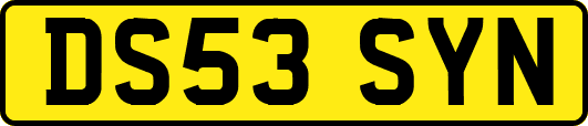 DS53SYN