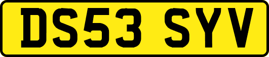 DS53SYV