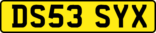 DS53SYX