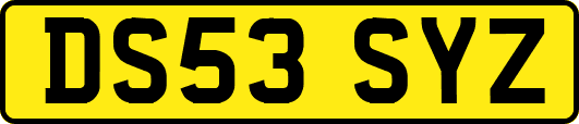 DS53SYZ
