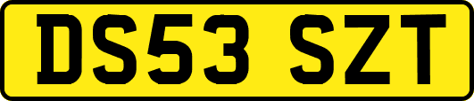 DS53SZT