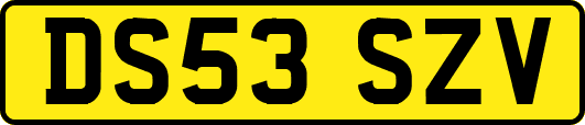 DS53SZV