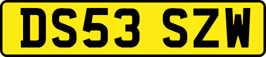 DS53SZW