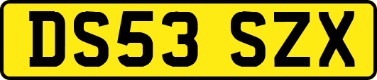 DS53SZX