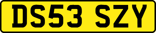 DS53SZY