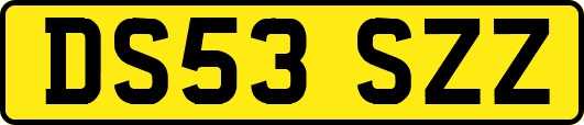 DS53SZZ