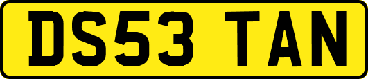 DS53TAN