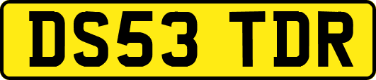 DS53TDR