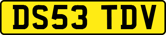 DS53TDV