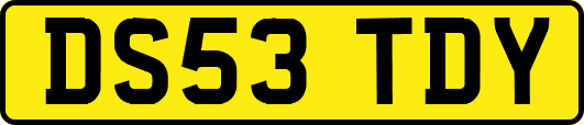 DS53TDY
