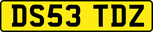 DS53TDZ