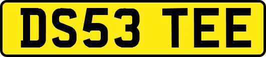 DS53TEE