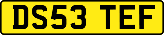 DS53TEF