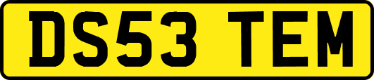 DS53TEM