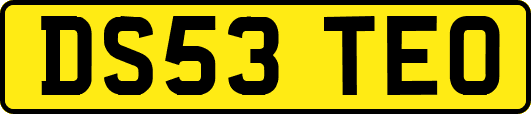 DS53TEO