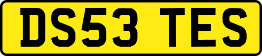 DS53TES