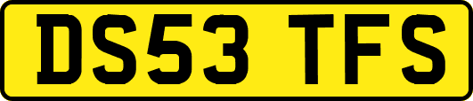 DS53TFS