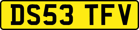 DS53TFV