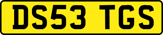 DS53TGS