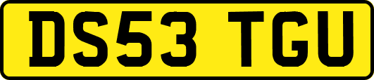 DS53TGU