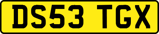 DS53TGX