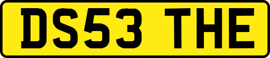 DS53THE
