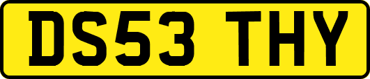 DS53THY