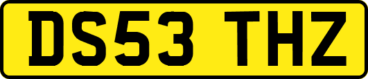 DS53THZ