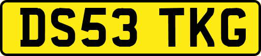 DS53TKG