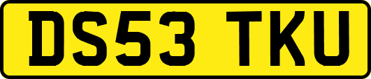 DS53TKU