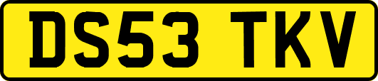 DS53TKV