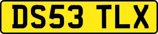 DS53TLX