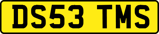 DS53TMS
