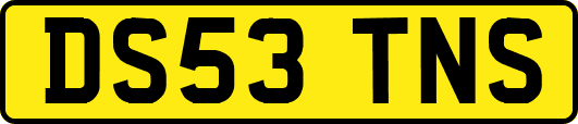 DS53TNS