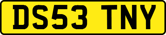 DS53TNY